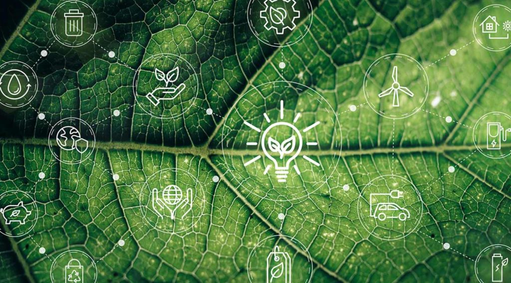 The Rising Wave of Green Supply Chains