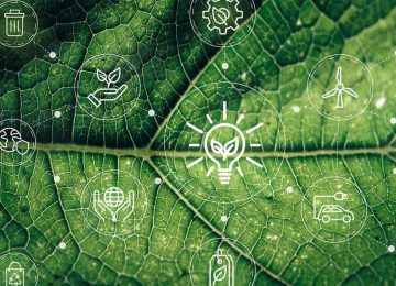 The Rising Wave of Green Supply Chains