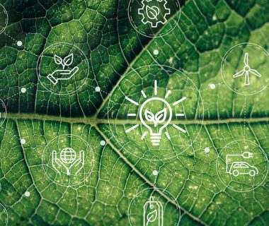 The Rising Wave of Green Supply Chains