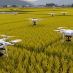 Global Rice Market Shifts Toward Sustainability