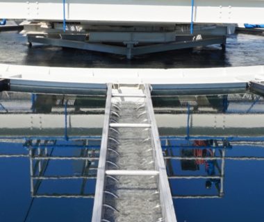 IREDA Inaugurates Sewage Treatment Plant at India International Centre