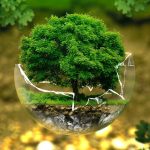 ASEAN: Healthy Environment is a Human Right Now