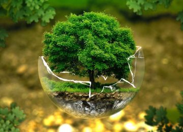 ASEAN: Healthy Environment is a Human Right Now