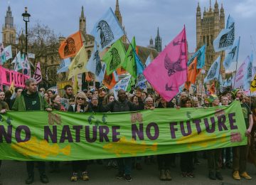 Global Climate Action Day: The Chasm Between Promise and Practice