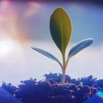 India Mulls Nationwide Climate-Linked Insurance Scheme