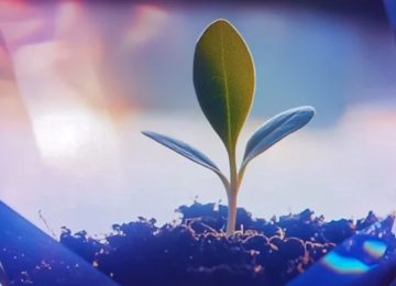 India Mulls Nationwide Climate-Linked Insurance Scheme