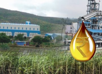 OMC Policy Strands Ethanol Plants in Surplus Zones: GEMA