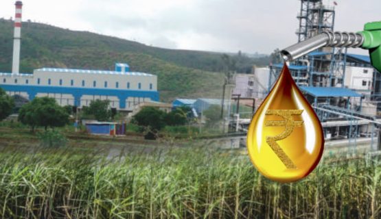 OMC Policy Strands Ethanol Plants in Surplus Zones: GEMA