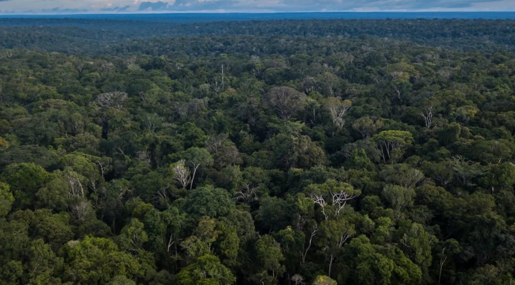 Brazil's $125 Billion TFFF Launch Faces Delay