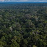 Brazil's $125 Billion TFFF Launch Faces Delay