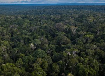 Brazil's $125 Billion TFFF Launch Faces Delay