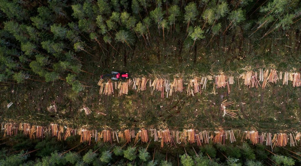 Global Brands Oppose EU Deforestation Deadline Delay