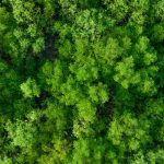 Microsoft Buys Permanent Carbon Removal from Arca