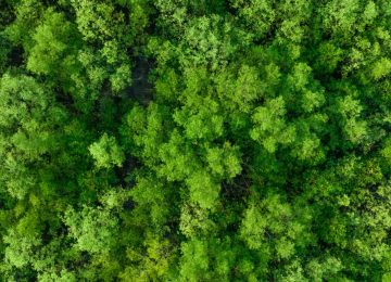 Microsoft Buys Permanent Carbon Removal from Arca