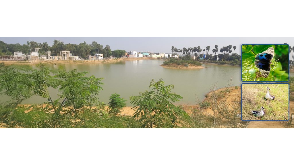 Tata Communications Connects People, Planet, and Purpose Through Lake Revitalization