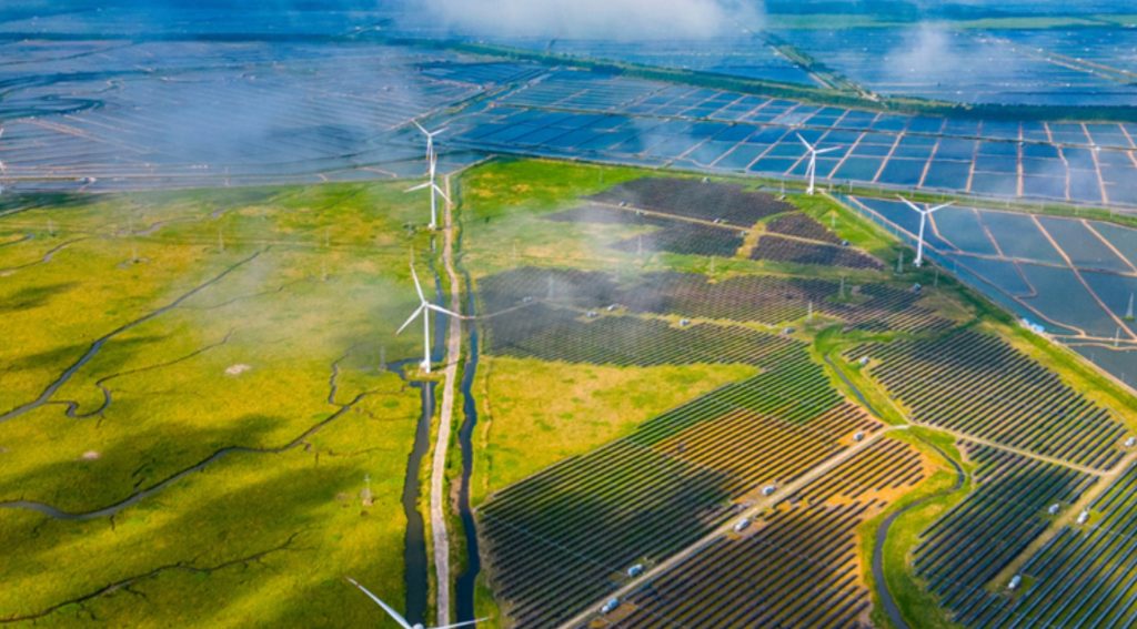 Solar, Wind Overtake Coal; Fossil Fuels Dip
