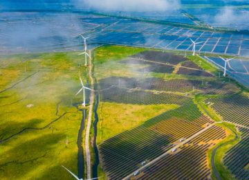 Solar, Wind Overtake Coal; Fossil Fuels Dip