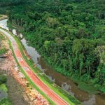 Can COP30 in Belém Break the Greenwashing Cycle?