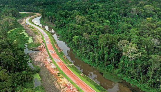 Can COP30 in Belém Break the Greenwashing Cycle?