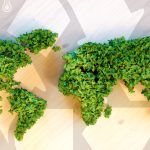 Price Mechanism Crucial for India's New Carbon Market