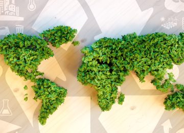 Price Mechanism Crucial for India's New Carbon Market