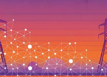 Centre Finalizes Rules for Private Grid Access