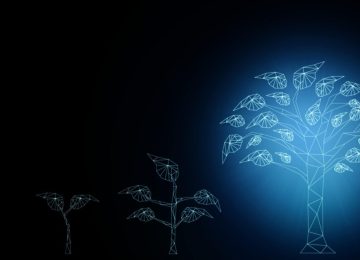 SFDR Overhaul Creates Three New Fund Labels