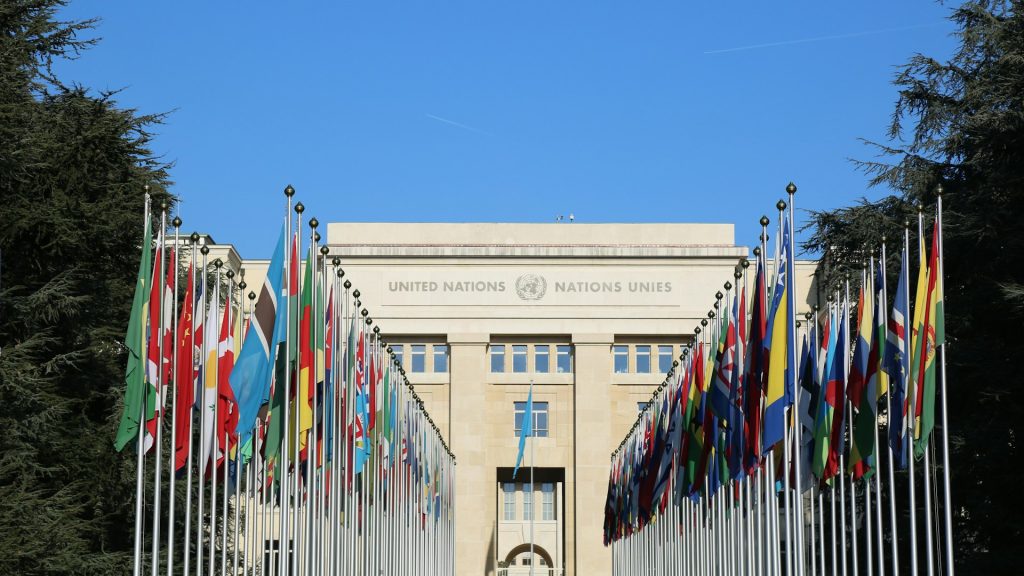 Climate Risks Intensify Displacement Crisis, Warns UN Ahead of COP30