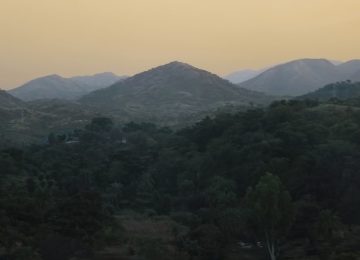 Courts Demand Development With Strict Environmental Compliance