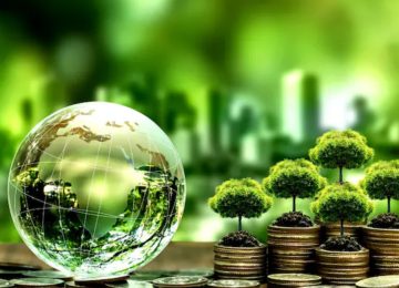 CII Calls for Finance, Tech Funds to Boost Green Economy