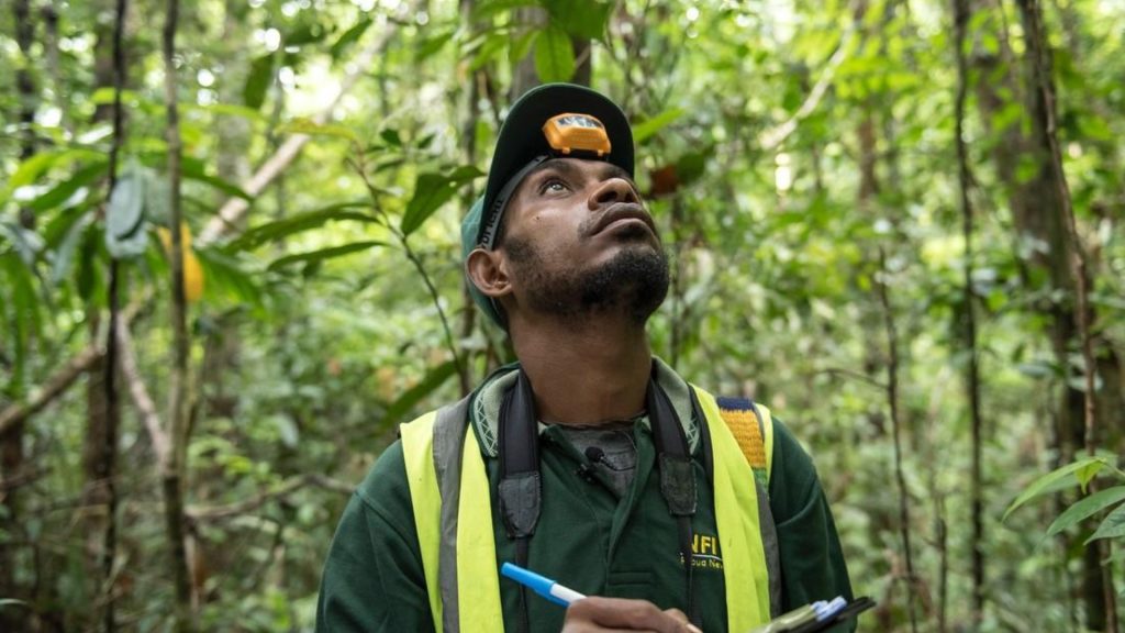 IETA Report: Carbon Markets Move Beyond Climate Policy