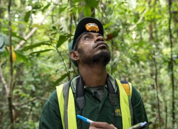 IETA Report: Carbon Markets Move Beyond Climate Policy