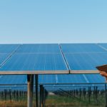 China Solar Losses Shrink in Q3 on Overcapacity Controls