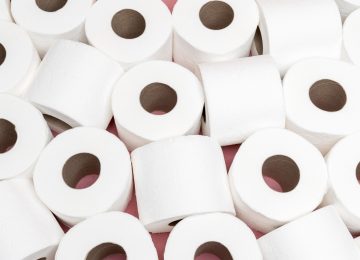 NRDC Report Exposes Unsustainable Sourcing by Leading Toilet Paper Brands