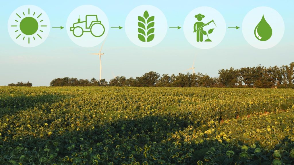 CarbonKrishi Positions Auri Grow in Booming Carbon Markets