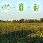 CarbonKrishi Positions Auri Grow in Booming Carbon Markets