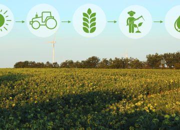 CarbonKrishi Positions Auri Grow in Booming Carbon Markets