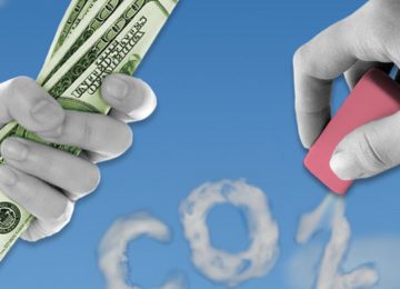 Salesforce Backs Nineteen Startups To Scale Carbon Removal