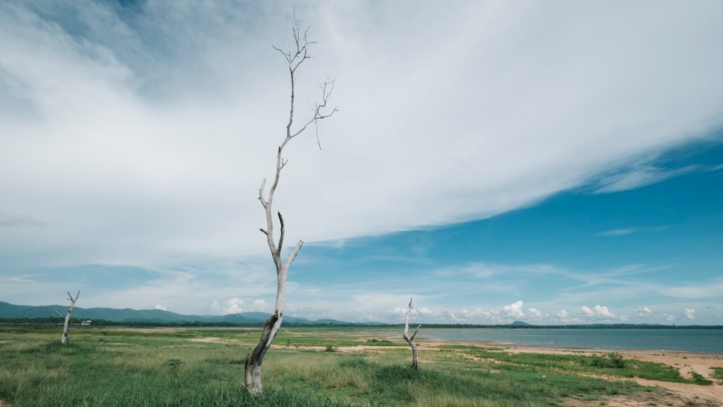 Climate Change: Meticulous Measurement, Paralysing Inaction