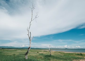 Climate Change: Meticulous Measurement, Paralysing Inaction