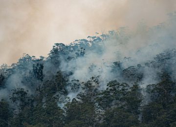 Climate Change Now India's Public Health Crisis, Dr Swaminathan