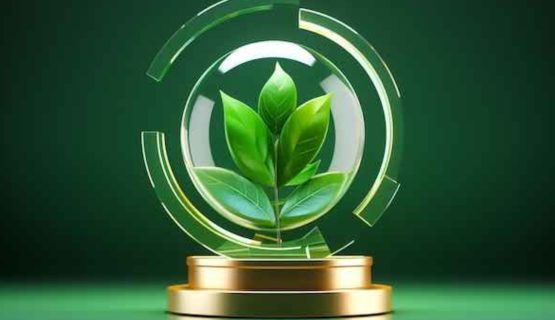 Green Energy Innovators Awarded