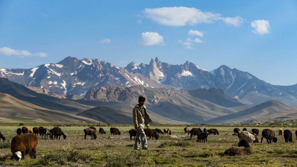 The Climate Calculus