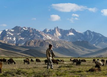 The Climate Calculus