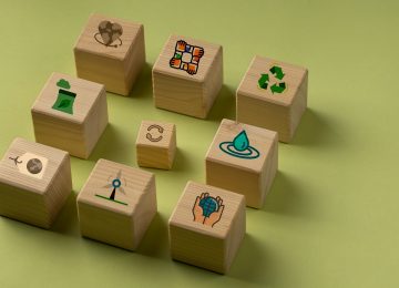 India's ESG Progress in a Retreating Global Landscape