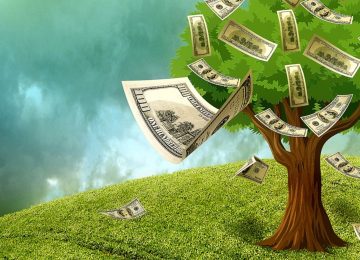 Transition Reporting Gaps Threaten India’s Green Capital