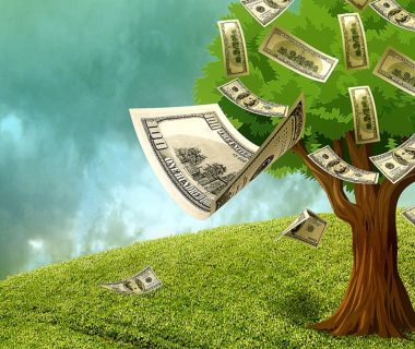 Transition Reporting Gaps Threaten India’s Green Capital