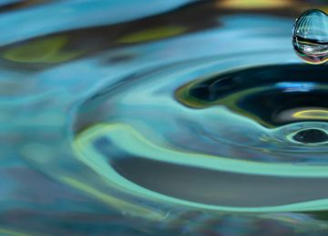 Indian Startups Lead Global Water Resilience Win